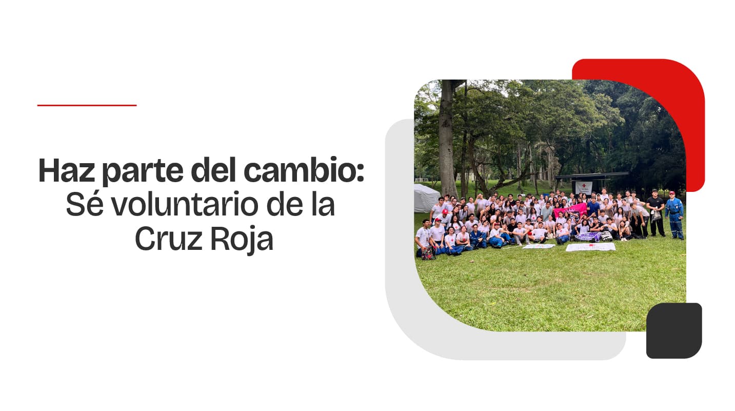 Voluntariado
